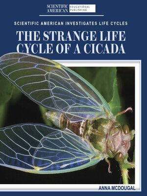 cover image of The Strange Life Cycle of a Cicada